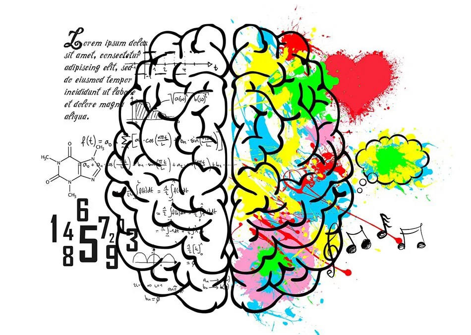 Formations A.N.C. – Connaissez-vous votre profil MBTI ?